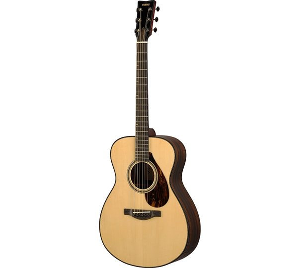 FS9 R acoustic guitars