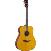 FG-TA Vintage Tint Left Front