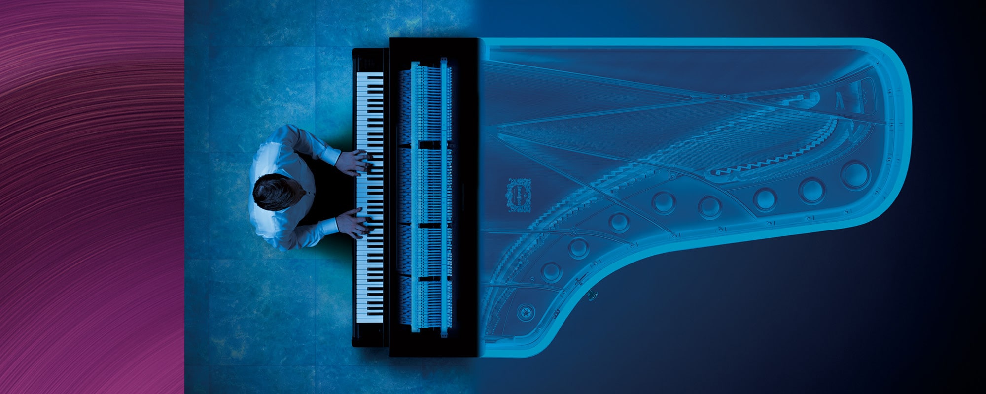 Photo The Best of Both Worlds