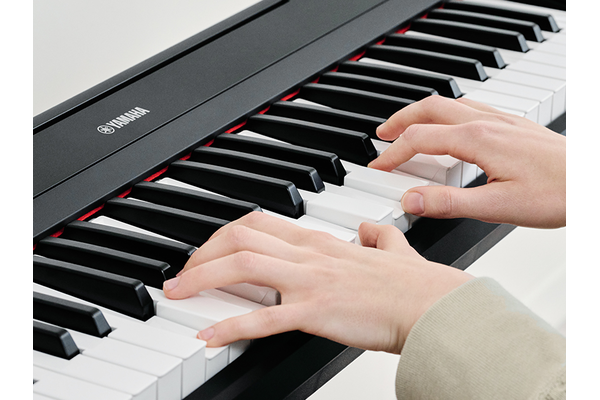 The hands of a person playing the Piaggero