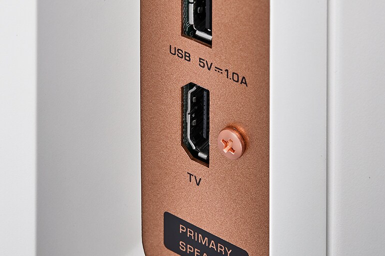 Bakside av NX-70A-høyttaleren som viser HDMI-porten