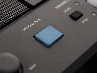 Illustrasjon av ARTICULATION-knappen på PSR-E483