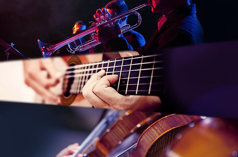 MUSICAL INSTRUMENTS VOICES