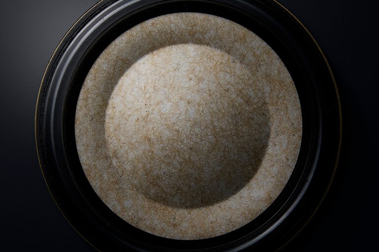 YH-C3000 headphones diaphragm photograph