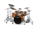 Stage Custom Birch (Honey Amber)