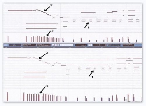 Research into interpretation and evaluation of practice using a Disklavier Grand