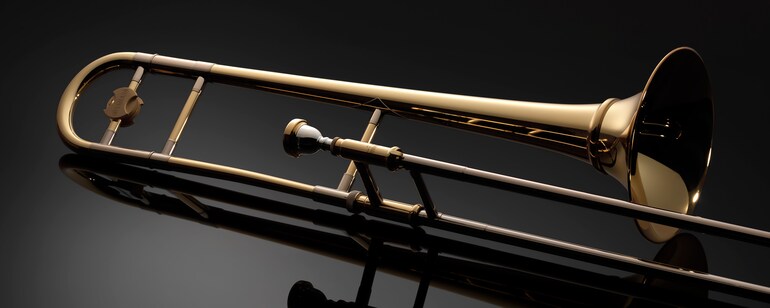 Main visual of YSL-893DNL