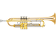 Bell: Gold brass, Finish: Clear lacquer